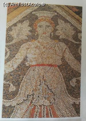 [P20] Mozaic din oikos (apartamentele private) descoperit în palatul regal - imagine de pe pliantul de prezentare al muzeului.  » foto by Carmen Ion
 - 
<span class="allrVoted glyphicon glyphicon-heart hidden" id="av909059"></span>
<a class="m-l-10 hidden" id="sv909059" onclick="voting_Foto_DelVot(,909059,20252)" role="button">șterge vot <span class="glyphicon glyphicon-remove"></span></a>
<a id="v9909059" class=" c-red"  onclick="voting_Foto_SetVot(909059)" role="button"><span class="glyphicon glyphicon-heart-empty"></span> <b>LIKE</b> = Votează poza</a> <img class="hidden"  id="f909059W9" src="/imagini/loader.gif" border="0" /><span class="AjErrMes hidden" id="e909059ErM"></span>