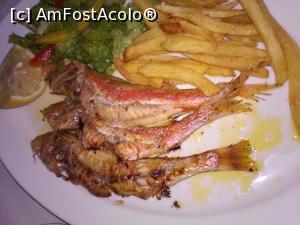 [P03] unul din cele trei tipuri de peste savurate la Roula Fish Tavern - rosioara la gratar » foto by Sosorina
 - 
<span class="allrVoted glyphicon glyphicon-heart hidden" id="av826829"></span>
<a class="m-l-10 hidden" id="sv826829" onclick="voting_Foto_DelVot(,826829,20269)" role="button">șterge vot <span class="glyphicon glyphicon-remove"></span></a>
<a id="v9826829" class=" c-red"  onclick="voting_Foto_SetVot(826829)" role="button"><span class="glyphicon glyphicon-heart-empty"></span> <b>LIKE</b> = Votează poza</a> <img class="hidden"  id="f826829W9" src="/imagini/loader.gif" border="0" /><span class="AjErrMes hidden" id="e826829ErM"></span>