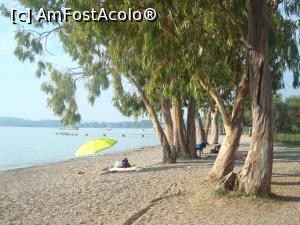 [P06] Plaja din Dassia - apa cristalina, oameni putini, umbra oferita de copaci, liniste si armonie!  » foto by Sosorina
 - 
<span class="allrVoted glyphicon glyphicon-heart hidden" id="av826832"></span>
<a class="m-l-10 hidden" id="sv826832" onclick="voting_Foto_DelVot(,826832,20269)" role="button">șterge vot <span class="glyphicon glyphicon-remove"></span></a>
<a id="v9826832" class=" c-red"  onclick="voting_Foto_SetVot(826832)" role="button"><span class="glyphicon glyphicon-heart-empty"></span> <b>LIKE</b> = Votează poza</a> <img class="hidden"  id="f826832W9" src="/imagini/loader.gif" border="0" /><span class="AjErrMes hidden" id="e826832ErM"></span>