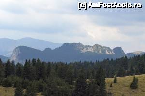 [P13] Pe așa-zisul TransBucegi, spre Piatra Arsă, Bolboci, Peștera - peisaje » foto by Dragoș_MD
 - 
<span class="allrVoted glyphicon glyphicon-heart hidden" id="av680762"></span>
<a class="m-l-10 hidden" id="sv680762" onclick="voting_Foto_DelVot(,680762,20272)" role="button">șterge vot <span class="glyphicon glyphicon-remove"></span></a>
<a id="v9680762" class=" c-red"  onclick="voting_Foto_SetVot(680762)" role="button"><span class="glyphicon glyphicon-heart-empty"></span> <b>LIKE</b> = Votează poza</a> <img class="hidden"  id="f680762W9" src="/imagini/loader.gif" border="0" /><span class="AjErrMes hidden" id="e680762ErM"></span>