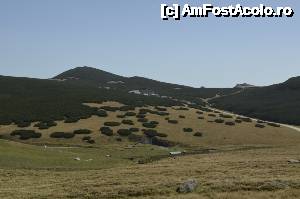 [P16] Pe așa-zisul TransBucegi, spre Piatra Arsă, Bolboci, Peștera - jnepenișul în mijlocul căruia e complexul Piatra Arsă » foto by Dragoș_MD
 - 
<span class="allrVoted glyphicon glyphicon-heart hidden" id="av680765"></span>
<a class="m-l-10 hidden" id="sv680765" onclick="voting_Foto_DelVot(,680765,20272)" role="button">șterge vot <span class="glyphicon glyphicon-remove"></span></a>
<a id="v9680765" class=" c-red"  onclick="voting_Foto_SetVot(680765)" role="button"><span class="glyphicon glyphicon-heart-empty"></span> <b>LIKE</b> = Votează poza</a> <img class="hidden"  id="f680765W9" src="/imagini/loader.gif" border="0" /><span class="AjErrMes hidden" id="e680765ErM"></span>