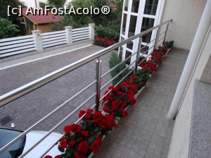 [P18] Villa Brussels *** din Deva. Balconul comun la 2 camere si inveselit de jardinierele cu muscate rosii :)  » foto by vega06
 - 
<span class="allrVoted glyphicon glyphicon-heart hidden" id="av737227"></span>
<a class="m-l-10 hidden" id="sv737227" onclick="voting_Foto_DelVot(,737227,20275)" role="button">șterge vot <span class="glyphicon glyphicon-remove"></span></a>
<a id="v9737227" class=" c-red"  onclick="voting_Foto_SetVot(737227)" role="button"><span class="glyphicon glyphicon-heart-empty"></span> <b>LIKE</b> = Votează poza</a> <img class="hidden"  id="f737227W9" src="/imagini/loader.gif" border="0" /><span class="AjErrMes hidden" id="e737227ErM"></span>