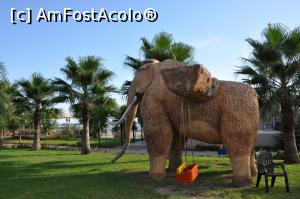 [P14] Ce a mai ramas din mamut » foto by tony67ro
 - 
<span class="allrVoted glyphicon glyphicon-heart hidden" id="av784173"></span>
<a class="m-l-10 hidden" id="sv784173" onclick="voting_Foto_DelVot(,784173,20279)" role="button">șterge vot <span class="glyphicon glyphicon-remove"></span></a>
<a id="v9784173" class=" c-red"  onclick="voting_Foto_SetVot(784173)" role="button"><span class="glyphicon glyphicon-heart-empty"></span> <b>LIKE</b> = Votează poza</a> <img class="hidden"  id="f784173W9" src="/imagini/loader.gif" border="0" /><span class="AjErrMes hidden" id="e784173ErM"></span>