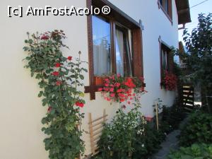 [P07] Ferestre și flori la „Casa Tradițiilor” » foto by crismis
 - 
<span class="allrVoted glyphicon glyphicon-heart hidden" id="av787668"></span>
<a class="m-l-10 hidden" id="sv787668" onclick="voting_Foto_DelVot(,787668,20293)" role="button">șterge vot <span class="glyphicon glyphicon-remove"></span></a>
<a id="v9787668" class=" c-red"  onclick="voting_Foto_SetVot(787668)" role="button"><span class="glyphicon glyphicon-heart-empty"></span> <b>LIKE</b> = Votează poza</a> <img class="hidden"  id="f787668W9" src="/imagini/loader.gif" border="0" /><span class="AjErrMes hidden" id="e787668ErM"></span>