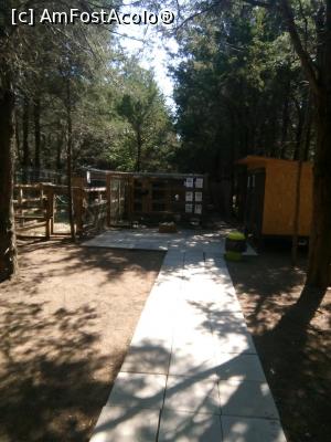 [P08] mini gradina zoo in drumul spre plaja » foto by Ohrana*
 - 
<span class="allrVoted glyphicon glyphicon-heart hidden" id="av1106245"></span>
<a class="m-l-10 hidden" id="sv1106245" onclick="voting_Foto_DelVot(,1106245,20304)" role="button">șterge vot <span class="glyphicon glyphicon-remove"></span></a>
<a id="v91106245" class=" c-red"  onclick="voting_Foto_SetVot(1106245)" role="button"><span class="glyphicon glyphicon-heart-empty"></span> <b>LIKE</b> = Votează poza</a> <img class="hidden"  id="f1106245W9" src="/imagini/loader.gif" border="0" /><span class="AjErrMes hidden" id="e1106245ErM"></span>
