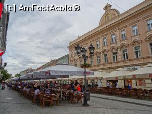 [P32] Novi Sad: strada pietonală Zmaj Jovina.  » foto by mariana.olaru
 - 
<span class="allrVoted glyphicon glyphicon-heart hidden" id="av842518"></span>
<a class="m-l-10 hidden" id="sv842518" onclick="voting_Foto_DelVot(,842518,20351)" role="button">șterge vot <span class="glyphicon glyphicon-remove"></span></a>
<a id="v9842518" class=" c-red"  onclick="voting_Foto_SetVot(842518)" role="button"><span class="glyphicon glyphicon-heart-empty"></span> <b>LIKE</b> = Votează poza</a> <img class="hidden"  id="f842518W9" src="/imagini/loader.gif" border="0" /><span class="AjErrMes hidden" id="e842518ErM"></span>