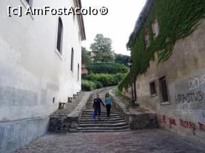[P03] Petrovaradin: urcând pe aleea de lângă Crkva sv. Jurja-Biserica Sfântul Gheorghe » foto by mariana.olaru
 - 
<span class="allrVoted glyphicon glyphicon-heart hidden" id="av878358"></span>
<a class="m-l-10 hidden" id="sv878358" onclick="voting_Foto_DelVot(,878358,20351)" role="button">șterge vot <span class="glyphicon glyphicon-remove"></span></a>
<a id="v9878358" class=" c-red"  onclick="voting_Foto_SetVot(878358)" role="button"><span class="glyphicon glyphicon-heart-empty"></span> <b>LIKE</b> = Votează poza</a> <img class="hidden"  id="f878358W9" src="/imagini/loader.gif" border="0" /><span class="AjErrMes hidden" id="e878358ErM"></span>