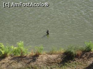 [P46] La poalele Cetatății Petrovaradin Dunărea e raiul pescarilor » foto by mariana.olaru
 - 
<span class="allrVoted glyphicon glyphicon-heart hidden" id="av878444"></span>
<a class="m-l-10 hidden" id="sv878444" onclick="voting_Foto_DelVot(,878444,20351)" role="button">șterge vot <span class="glyphicon glyphicon-remove"></span></a>
<a id="v9878444" class=" c-red"  onclick="voting_Foto_SetVot(878444)" role="button"><span class="glyphicon glyphicon-heart-empty"></span> <b>LIKE</b> = Votează poza</a> <img class="hidden"  id="f878444W9" src="/imagini/loader.gif" border="0" /><span class="AjErrMes hidden" id="e878444ErM"></span>