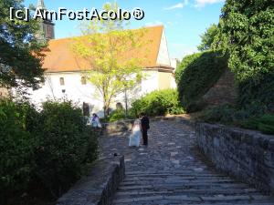 [P05] Petrovaradin: urcând spre Cetatea de sus. În fundal se vede Biserica Sfântul Gheorghe » foto by mariana.olaru
 - 
<span class="allrVoted glyphicon glyphicon-heart hidden" id="av878369"></span>
<a class="m-l-10 hidden" id="sv878369" onclick="voting_Foto_DelVot(,878369,20351)" role="button">șterge vot <span class="glyphicon glyphicon-remove"></span></a>
<a id="v9878369" class=" c-red"  onclick="voting_Foto_SetVot(878369)" role="button"><span class="glyphicon glyphicon-heart-empty"></span> <b>LIKE</b> = Votează poza</a> <img class="hidden"  id="f878369W9" src="/imagini/loader.gif" border="0" /><span class="AjErrMes hidden" id="e878369ErM"></span>