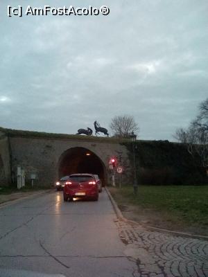 [P39] intrarea in Petrovaradin... sau iesirea » foto by adrianbogdan
 - 
<span class="allrVoted glyphicon glyphicon-heart hidden" id="av955249"></span>
<a class="m-l-10 hidden" id="sv955249" onclick="voting_Foto_DelVot(,955249,20351)" role="button">șterge vot <span class="glyphicon glyphicon-remove"></span></a>
<a id="v9955249" class=" c-red"  onclick="voting_Foto_SetVot(955249)" role="button"><span class="glyphicon glyphicon-heart-empty"></span> <b>LIKE</b> = Votează poza</a> <img class="hidden"  id="f955249W9" src="/imagini/loader.gif" border="0" /><span class="AjErrMes hidden" id="e955249ErM"></span>