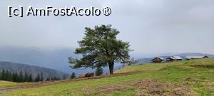 [P14] În Pasul Stânișoara - peisaj. » foto by tata123 🔱
 - 
<span class="allrVoted glyphicon glyphicon-heart hidden" id="av1478325"></span>
<a class="m-l-10 hidden" id="sv1478325" onclick="voting_Foto_DelVot(,1478325,20356)" role="button">șterge vot <span class="glyphicon glyphicon-remove"></span></a>
<a id="v91478325" class=" c-red"  onclick="voting_Foto_SetVot(1478325)" role="button"><span class="glyphicon glyphicon-heart-empty"></span> <b>LIKE</b> = Votează poza</a> <img class="hidden"  id="f1478325W9" src="/imagini/loader.gif" border="0" /><span class="AjErrMes hidden" id="e1478325ErM"></span>