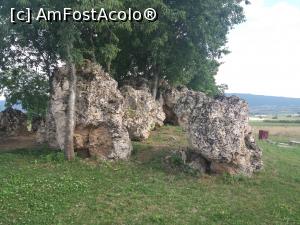 [P16] Nymfopetres » foto by diana2015
 - 
<span class="allrVoted glyphicon glyphicon-heart hidden" id="av1077396"></span>
<a class="m-l-10 hidden" id="sv1077396" onclick="voting_Foto_DelVot(,1077396,20405)" role="button">șterge vot <span class="glyphicon glyphicon-remove"></span></a>
<a id="v91077396" class=" c-red"  onclick="voting_Foto_SetVot(1077396)" role="button"><span class="glyphicon glyphicon-heart-empty"></span> <b>LIKE</b> = Votează poza</a> <img class="hidden"  id="f1077396W9" src="/imagini/loader.gif" border="0" /><span class="AjErrMes hidden" id="e1077396ErM"></span>