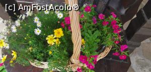 [P06] Decorațiuni frumoase în micuța curte. » foto by Aurici
 - 
<span class="allrVoted glyphicon glyphicon-heart hidden" id="av1242531"></span>
<a class="m-l-10 hidden" id="sv1242531" onclick="voting_Foto_DelVot(,1242531,20413)" role="button">șterge vot <span class="glyphicon glyphicon-remove"></span></a>
<a id="v91242531" class=" c-red"  onclick="voting_Foto_SetVot(1242531)" role="button"><span class="glyphicon glyphicon-heart-empty"></span> <b>LIKE</b> = Votează poza</a> <img class="hidden"  id="f1242531W9" src="/imagini/loader.gif" border="0" /><span class="AjErrMes hidden" id="e1242531ErM"></span>