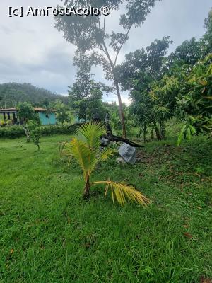 [P41] muzeu in aer liber » foto by robert
 - 
<span class="allrVoted glyphicon glyphicon-heart hidden" id="av1414242"></span>
<a class="m-l-10 hidden" id="sv1414242" onclick="voting_Foto_DelVot(,1414242,20428)" role="button">șterge vot <span class="glyphicon glyphicon-remove"></span></a>
<a id="v91414242" class=" c-red"  onclick="voting_Foto_SetVot(1414242)" role="button"><span class="glyphicon glyphicon-heart-empty"></span> <b>LIKE</b> = Votează poza</a> <img class="hidden"  id="f1414242W9" src="/imagini/loader.gif" border="0" /><span class="AjErrMes hidden" id="e1414242ErM"></span>