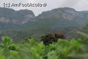 [P62] good bye Vinales » foto by Lila Mo
 - 
<span class="allrVoted glyphicon glyphicon-heart hidden" id="av751303"></span>
<a class="m-l-10 hidden" id="sv751303" onclick="voting_Foto_DelVot(,751303,20428)" role="button">șterge vot <span class="glyphicon glyphicon-remove"></span></a>
<a id="v9751303" class=" c-red"  onclick="voting_Foto_SetVot(751303)" role="button"><span class="glyphicon glyphicon-heart-empty"></span> <b>LIKE</b> = Votează poza</a> <img class="hidden"  id="f751303W9" src="/imagini/loader.gif" border="0" /><span class="AjErrMes hidden" id="e751303ErM"></span>