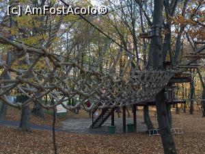[P30] traseu in Aventura Park » foto by Dan&Ema
 - 
<span class="allrVoted glyphicon glyphicon-heart hidden" id="av828432"></span>
<a class="m-l-10 hidden" id="sv828432" onclick="voting_Foto_DelVot(,828432,20446)" role="button">șterge vot <span class="glyphicon glyphicon-remove"></span></a>
<a id="v9828432" class=" c-red"  onclick="voting_Foto_SetVot(828432)" role="button"><span class="glyphicon glyphicon-heart-empty"></span> <b>LIKE</b> = Votează poza</a> <img class="hidden"  id="f828432W9" src="/imagini/loader.gif" border="0" /><span class="AjErrMes hidden" id="e828432ErM"></span>
