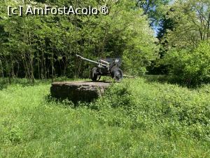 [P05] Arsenal Park Orăștie,exponate » foto by AZE
 - 
<span class="allrVoted glyphicon glyphicon-heart hidden" id="av1452703"></span>
<a class="m-l-10 hidden" id="sv1452703" onclick="voting_Foto_DelVot(,1452703,20446)" role="button">șterge vot <span class="glyphicon glyphicon-remove"></span></a>
<a id="v91452703" class=" c-red"  onclick="voting_Foto_SetVot(1452703)" role="button"><span class="glyphicon glyphicon-heart-empty"></span> <b>LIKE</b> = Votează poza</a> <img class="hidden"  id="f1452703W9" src="/imagini/loader.gif" border="0" /><span class="AjErrMes hidden" id="e1452703ErM"></span>