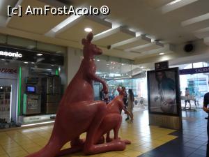 [P10] in inetriorul mallului Albrook » foto by grecudoina
 - 
<span class="allrVoted glyphicon glyphicon-heart hidden" id="av752883"></span>
<a class="m-l-10 hidden" id="sv752883" onclick="voting_Foto_DelVot(,752883,20448)" role="button">șterge vot <span class="glyphicon glyphicon-remove"></span></a>
<a id="v9752883" class=" c-red"  onclick="voting_Foto_SetVot(752883)" role="button"><span class="glyphicon glyphicon-heart-empty"></span> <b>LIKE</b> = Votează poza</a> <img class="hidden"  id="f752883W9" src="/imagini/loader.gif" border="0" /><span class="AjErrMes hidden" id="e752883ErM"></span>