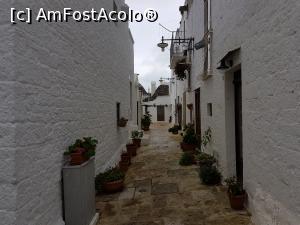 [P04] Strada din Alberobello » foto by fvpmed
 - 
<span class="allrVoted glyphicon glyphicon-heart hidden" id="av819037"></span>
<a class="m-l-10 hidden" id="sv819037" onclick="voting_Foto_DelVot(,819037,20469)" role="button">șterge vot <span class="glyphicon glyphicon-remove"></span></a>
<a id="v9819037" class=" c-red"  onclick="voting_Foto_SetVot(819037)" role="button"><span class="glyphicon glyphicon-heart-empty"></span> <b>LIKE</b> = Votează poza</a> <img class="hidden"  id="f819037W9" src="/imagini/loader.gif" border="0" /><span class="AjErrMes hidden" id="e819037ErM"></span>