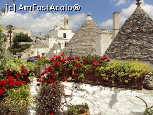 [P01] Terasa cu flori a unui trullo, de pe care am admirat acoperisurile tuguiate ale caselor invecinate.  » foto by Carmen Ion
 - 
<span class="allrVoted glyphicon glyphicon-heart hidden" id="av753973"></span>
<a class="m-l-10 hidden" id="sv753973" onclick="voting_Foto_DelVot(,753973,20469)" role="button">șterge vot <span class="glyphicon glyphicon-remove"></span></a>
<a id="v9753973" class=" c-red"  onclick="voting_Foto_SetVot(753973)" role="button"><span class="glyphicon glyphicon-heart-empty"></span> <b>LIKE</b> = Votează poza</a> <img class="hidden"  id="f753973W9" src="/imagini/loader.gif" border="0" /><span class="AjErrMes hidden" id="e753973ErM"></span>