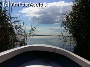 [P06]  -- <small>// FĂRĂ DESCRIERE</small> » foto by iulia1406
 - 
<span class="allrVoted glyphicon glyphicon-heart hidden" id="av865479"></span>
<a class="m-l-10 hidden" id="sv865479" onclick="voting_Foto_DelVot(,865479,20506)" role="button">șterge vot <span class="glyphicon glyphicon-remove"></span></a>
<a id="v9865479" class=" c-red"  onclick="voting_Foto_SetVot(865479)" role="button"><span class="glyphicon glyphicon-heart-empty"></span> <b>LIKE</b> = Votează poza</a> <img class="hidden"  id="f865479W9" src="/imagini/loader.gif" border="0" /><span class="AjErrMes hidden" id="e865479ErM"></span>