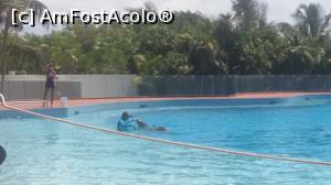 [P10] delfinariu » foto by MoniQ69
 - 
<span class="allrVoted glyphicon glyphicon-heart hidden" id="av757037"></span>
<a class="m-l-10 hidden" id="sv757037" onclick="voting_Foto_DelVot(,757037,20509)" role="button">șterge vot <span class="glyphicon glyphicon-remove"></span></a>
<a id="v9757037" class=" c-red"  onclick="voting_Foto_SetVot(757037)" role="button"><span class="glyphicon glyphicon-heart-empty"></span> <b>LIKE</b> = Votează poza</a> <img class="hidden"  id="f757037W9" src="/imagini/loader.gif" border="0" /><span class="AjErrMes hidden" id="e757037ErM"></span>