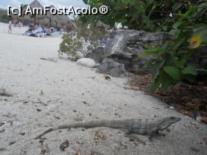 [P39] un vizitator... nu, un bastinas » foto by MoniQ69
 - 
<span class="allrVoted glyphicon glyphicon-heart hidden" id="av757066"></span>
<a class="m-l-10 hidden" id="sv757066" onclick="voting_Foto_DelVot(,757066,20509)" role="button">șterge vot <span class="glyphicon glyphicon-remove"></span></a>
<a id="v9757066" class=" c-red"  onclick="voting_Foto_SetVot(757066)" role="button"><span class="glyphicon glyphicon-heart-empty"></span> <b>LIKE</b> = Votează poza</a> <img class="hidden"  id="f757066W9" src="/imagini/loader.gif" border="0" /><span class="AjErrMes hidden" id="e757066ErM"></span>