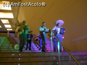 [P45] mariachi in lobby bar » foto by MoniQ69
 - 
<span class="allrVoted glyphicon glyphicon-heart hidden" id="av757072"></span>
<a class="m-l-10 hidden" id="sv757072" onclick="voting_Foto_DelVot(,757072,20509)" role="button">șterge vot <span class="glyphicon glyphicon-remove"></span></a>
<a id="v9757072" class=" c-red"  onclick="voting_Foto_SetVot(757072)" role="button"><span class="glyphicon glyphicon-heart-empty"></span> <b>LIKE</b> = Votează poza</a> <img class="hidden"  id="f757072W9" src="/imagini/loader.gif" border="0" /><span class="AjErrMes hidden" id="e757072ErM"></span>
