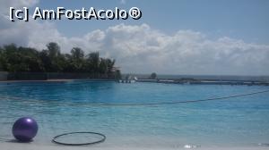 [P09] Delfinariu in complex » foto by MoniQ69
 - 
<span class="allrVoted glyphicon glyphicon-heart hidden" id="av757036"></span>
<a class="m-l-10 hidden" id="sv757036" onclick="voting_Foto_DelVot(,757036,20509)" role="button">șterge vot <span class="glyphicon glyphicon-remove"></span></a>
<a id="v9757036" class=" c-red"  onclick="voting_Foto_SetVot(757036)" role="button"><span class="glyphicon glyphicon-heart-empty"></span> <b>LIKE</b> = Votează poza</a> <img class="hidden"  id="f757036W9" src="/imagini/loader.gif" border="0" /><span class="AjErrMes hidden" id="e757036ErM"></span>