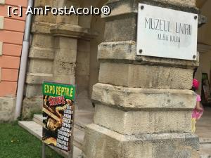 [P01] Expozitie de reptile in Muzeul Unirii din Alba Iulia (!)  » foto by Dan&Ema
 - 
<span class="allrVoted glyphicon glyphicon-heart hidden" id="av757254"></span>
<a class="m-l-10 hidden" id="sv757254" onclick="voting_Foto_DelVot(,757254,20510)" role="button">șterge vot <span class="glyphicon glyphicon-remove"></span></a>
<a id="v9757254" class=" c-red"  onclick="voting_Foto_SetVot(757254)" role="button"><span class="glyphicon glyphicon-heart-empty"></span> <b>LIKE</b> = Votează poza</a> <img class="hidden"  id="f757254W9" src="/imagini/loader.gif" border="0" /><span class="AjErrMes hidden" id="e757254ErM"></span>
