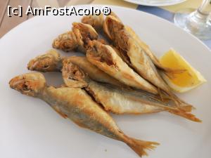 [P10] Restaurant Holiday; niște peștișori foarte buni » foto by crismis
 - 
<span class="allrVoted glyphicon glyphicon-heart hidden" id="av1137608"></span>
<a class="m-l-10 hidden" id="sv1137608" onclick="voting_Foto_DelVot(,1137608,20518)" role="button">șterge vot <span class="glyphicon glyphicon-remove"></span></a>
<a id="v91137608" class=" c-red"  onclick="voting_Foto_SetVot(1137608)" role="button"><span class="glyphicon glyphicon-heart-empty"></span> <b>LIKE</b> = Votează poza</a> <img class="hidden"  id="f1137608W9" src="/imagini/loader.gif" border="0" /><span class="AjErrMes hidden" id="e1137608ErM"></span>