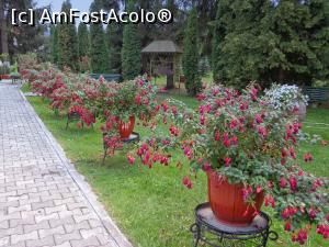 [P05] Mănăstirea Sfântul Prooroc Ilie din Toplița :alee cu cerceluși » foto by mariana.olaru
 - 
<span class="allrVoted glyphicon glyphicon-heart hidden" id="av762919"></span>
<a class="m-l-10 hidden" id="sv762919" onclick="voting_Foto_DelVot(,762919,20563)" role="button">șterge vot <span class="glyphicon glyphicon-remove"></span></a>
<a id="v9762919" class=" c-red"  onclick="voting_Foto_SetVot(762919)" role="button"><span class="glyphicon glyphicon-heart-empty"></span> <b>LIKE</b> = Votează poza</a> <img class="hidden"  id="f762919W9" src="/imagini/loader.gif" border="0" /><span class="AjErrMes hidden" id="e762919ErM"></span>