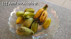 [P11] mango, star fruit si banane. toate culese din gradina » foto by ascarlat
 - 
<span class="allrVoted glyphicon glyphicon-heart hidden" id="av763754"></span>
<a class="m-l-10 hidden" id="sv763754" onclick="voting_Foto_DelVot(,763754,20579)" role="button">șterge vot <span class="glyphicon glyphicon-remove"></span></a>
<a id="v9763754" class=" c-red"  onclick="voting_Foto_SetVot(763754)" role="button"><span class="glyphicon glyphicon-heart-empty"></span> <b>LIKE</b> = Votează poza</a> <img class="hidden"  id="f763754W9" src="/imagini/loader.gif" border="0" /><span class="AjErrMes hidden" id="e763754ErM"></span>