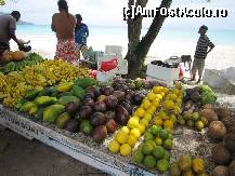 [P07] Mango, avocado si alte fructre specifice insulei » foto by roxana.tomina
 - 
<span class="allrVoted glyphicon glyphicon-heart hidden" id="av420021"></span>
<a class="m-l-10 hidden" id="sv420021" onclick="voting_Foto_DelVot(,420021,20601)" role="button">șterge vot <span class="glyphicon glyphicon-remove"></span></a>
<a id="v9420021" class=" c-red"  onclick="voting_Foto_SetVot(420021)" role="button"><span class="glyphicon glyphicon-heart-empty"></span> <b>LIKE</b> = Votează poza</a> <img class="hidden"  id="f420021W9" src="/imagini/loader.gif" border="0" /><span class="AjErrMes hidden" id="e420021ErM"></span>