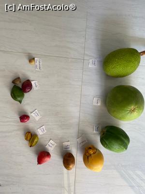 [P11] fructe din Mahe » foto by Roxelly
 - 
<span class="allrVoted glyphicon glyphicon-heart hidden" id="av1313614"></span>
<a class="m-l-10 hidden" id="sv1313614" onclick="voting_Foto_DelVot(,1313614,20601)" role="button">șterge vot <span class="glyphicon glyphicon-remove"></span></a>
<a id="v91313614" class=" c-red"  onclick="voting_Foto_SetVot(1313614)" role="button"><span class="glyphicon glyphicon-heart-empty"></span> <b>LIKE</b> = Votează poza</a> <img class="hidden"  id="f1313614W9" src="/imagini/loader.gif" border="0" /><span class="AjErrMes hidden" id="e1313614ErM"></span>