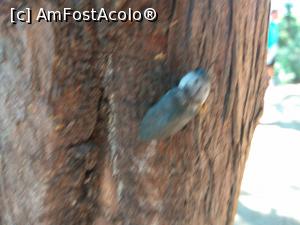 [P10]  -- <small>// FĂRĂ DESCRIERE</small> » foto by Ade2018
 - 
<span class="allrVoted glyphicon glyphicon-heart hidden" id="av1003745"></span>
<a class="m-l-10 hidden" id="sv1003745" onclick="voting_Foto_DelVot(,1003745,20606)" role="button">șterge vot <span class="glyphicon glyphicon-remove"></span></a>
<a id="v91003745" class=" c-red"  onclick="voting_Foto_SetVot(1003745)" role="button"><span class="glyphicon glyphicon-heart-empty"></span> <b>LIKE</b> = Votează poza</a> <img class="hidden"  id="f1003745W9" src="/imagini/loader.gif" border="0" /><span class="AjErrMes hidden" id="e1003745ErM"></span>