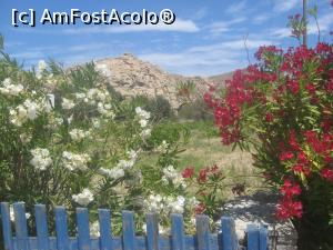 [P05] Ne indreptam spre o insula in care stancile se-mpaca bine cu florile » foto by dorgo
 - 
<span class="allrVoted glyphicon glyphicon-heart hidden" id="av766164"></span>
<a class="m-l-10 hidden" id="sv766164" onclick="voting_Foto_DelVot(,766164,20612)" role="button">șterge vot <span class="glyphicon glyphicon-remove"></span></a>
<a id="v9766164" class=" c-red"  onclick="voting_Foto_SetVot(766164)" role="button"><span class="glyphicon glyphicon-heart-empty"></span> <b>LIKE</b> = Votează poza</a> <img class="hidden"  id="f766164W9" src="/imagini/loader.gif" border="0" /><span class="AjErrMes hidden" id="e766164ErM"></span>