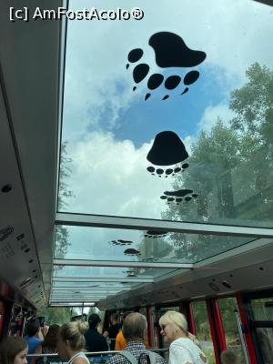 [P43] Ziua 3 - Stary Smokovec /din trenul cu cremalieră spre Hrebienok » foto by tm67bru
 - 
<span class="allrVoted glyphicon glyphicon-heart hidden" id="av1387457"></span>
<a class="m-l-10 hidden" id="sv1387457" onclick="voting_Foto_DelVot(,1387457,20628)" role="button">șterge vot <span class="glyphicon glyphicon-remove"></span></a>
<a id="v91387457" class=" c-red"  onclick="voting_Foto_SetVot(1387457)" role="button"><span class="glyphicon glyphicon-heart-empty"></span> <b>LIKE</b> = Votează poza</a> <img class="hidden"  id="f1387457W9" src="/imagini/loader.gif" border="0" /><span class="AjErrMes hidden" id="e1387457ErM"></span>