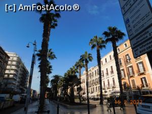 [P20] Pe Corso Vittorio Emanuele II » foto by irinad
 - 
<span class="allrVoted glyphicon glyphicon-heart hidden" id="av1321405"></span>
<a class="m-l-10 hidden" id="sv1321405" onclick="voting_Foto_DelVot(,1321405,20629)" role="button">șterge vot <span class="glyphicon glyphicon-remove"></span></a>
<a id="v91321405" class=" c-red"  onclick="voting_Foto_SetVot(1321405)" role="button"><span class="glyphicon glyphicon-heart-empty"></span> <b>LIKE</b> = Votează poza</a> <img class="hidden"  id="f1321405W9" src="/imagini/loader.gif" border="0" /><span class="AjErrMes hidden" id="e1321405ErM"></span>