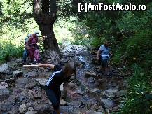 [P07] Echilibristică!  » foto by Utube
 - 
<span class="allrVoted glyphicon glyphicon-heart hidden" id="av406891"></span>
<a class="m-l-10 hidden" id="sv406891" onclick="voting_Foto_DelVot(,406891,20640)" role="button">șterge vot <span class="glyphicon glyphicon-remove"></span></a>
<a id="v9406891" class=" c-red"  onclick="voting_Foto_SetVot(406891)" role="button"><span class="glyphicon glyphicon-heart-empty"></span> <b>LIKE</b> = Votează poza</a> <img class="hidden"  id="f406891W9" src="/imagini/loader.gif" border="0" /><span class="AjErrMes hidden" id="e406891ErM"></span>