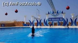 [P14] Delfin dansând pe muzica lui Michael Jackson » foto by DanielaK
 - 
<span class="allrVoted glyphicon glyphicon-heart hidden" id="av770845"></span>
<a class="m-l-10 hidden" id="sv770845" onclick="voting_Foto_DelVot(,770845,20676)" role="button">șterge vot <span class="glyphicon glyphicon-remove"></span></a>
<a id="v9770845" class=" c-red"  onclick="voting_Foto_SetVot(770845)" role="button"><span class="glyphicon glyphicon-heart-empty"></span> <b>LIKE</b> = Votează poza</a> <img class="hidden"  id="f770845W9" src="/imagini/loader.gif" border="0" /><span class="AjErrMes hidden" id="e770845ErM"></span>