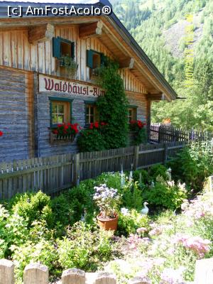 [P06] Am poposit la cabana Waldhausl-Alm » foto by Alina53
 - 
<span class="allrVoted glyphicon glyphicon-heart hidden" id="av773179"></span>
<a class="m-l-10 hidden" id="sv773179" onclick="voting_Foto_DelVot(,773179,20717)" role="button">șterge vot <span class="glyphicon glyphicon-remove"></span></a>
<a id="v9773179" class=" c-red"  onclick="voting_Foto_SetVot(773179)" role="button"><span class="glyphicon glyphicon-heart-empty"></span> <b>LIKE</b> = Votează poza</a> <img class="hidden"  id="f773179W9" src="/imagini/loader.gif" border="0" /><span class="AjErrMes hidden" id="e773179ErM"></span>
