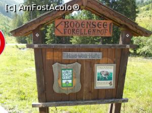 [P08] Rezervație naturală - și sălbăticiunile au nevoie de liniște » foto by Alina53
 - 
<span class="allrVoted glyphicon glyphicon-heart hidden" id="av787189"></span>
<a class="m-l-10 hidden" id="sv787189" onclick="voting_Foto_DelVot(,787189,20717)" role="button">șterge vot <span class="glyphicon glyphicon-remove"></span></a>
<a id="v9787189" class=" c-red"  onclick="voting_Foto_SetVot(787189)" role="button"><span class="glyphicon glyphicon-heart-empty"></span> <b>LIKE</b> = Votează poza</a> <img class="hidden"  id="f787189W9" src="/imagini/loader.gif" border="0" /><span class="AjErrMes hidden" id="e787189ErM"></span>