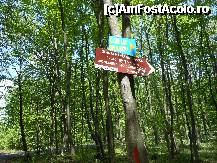 [P18] Snagov - Directia spre Sfanta Manastire Snagov 'Vlad Tepes' insula, monument istoric sec. XIV–XV. » foto by iulianic
 - 
<span class="allrVoted glyphicon glyphicon-heart hidden" id="av311372"></span>
<a class="m-l-10 hidden" id="sv311372" onclick="voting_Foto_DelVot(,311372,20723)" role="button">șterge vot <span class="glyphicon glyphicon-remove"></span></a>
<a id="v9311372" class=" c-red"  onclick="voting_Foto_SetVot(311372)" role="button"><span class="glyphicon glyphicon-heart-empty"></span> <b>LIKE</b> = Votează poza</a> <img class="hidden"  id="f311372W9" src="/imagini/loader.gif" border="0" /><span class="AjErrMes hidden" id="e311372ErM"></span>