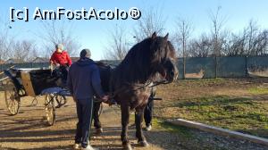 [P56] Poate data viitoare ne plimbăm și noi.  » foto by Aurici
 - 
<span class="allrVoted glyphicon glyphicon-heart hidden" id="av961951"></span>
<a class="m-l-10 hidden" id="sv961951" onclick="voting_Foto_DelVot(,961951,20723)" role="button">șterge vot <span class="glyphicon glyphicon-remove"></span></a>
<a id="v9961951" class=" c-red"  onclick="voting_Foto_SetVot(961951)" role="button"><span class="glyphicon glyphicon-heart-empty"></span> <b>LIKE</b> = Votează poza</a> <img class="hidden"  id="f961951W9" src="/imagini/loader.gif" border="0" /><span class="AjErrMes hidden" id="e961951ErM"></span>