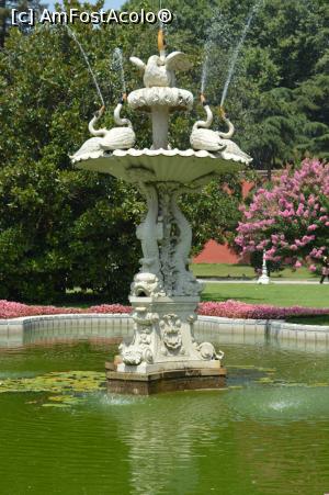 [P15] Istanbul - Dolmabahce - » foto by alina1104
 - 
<span class="allrVoted glyphicon glyphicon-heart hidden" id="av718274"></span>
<a class="m-l-10 hidden" id="sv718274" onclick="voting_Foto_DelVot(,718274,20760)" role="button">șterge vot <span class="glyphicon glyphicon-remove"></span></a>
<a id="v9718274" class=" c-red"  onclick="voting_Foto_SetVot(718274)" role="button"><span class="glyphicon glyphicon-heart-empty"></span> <b>LIKE</b> = Votează poza</a> <img class="hidden"  id="f718274W9" src="/imagini/loader.gif" border="0" /><span class="AjErrMes hidden" id="e718274ErM"></span>