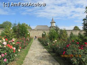 [P14] aruncam o privire inapoi spre manastire » foto by adri-nico
 - 
<span class="allrVoted glyphicon glyphicon-heart hidden" id="av777372"></span>
<a class="m-l-10 hidden" id="sv777372" onclick="voting_Foto_DelVot(,777372,20763)" role="button">șterge vot <span class="glyphicon glyphicon-remove"></span></a>
<a id="v9777372" class=" c-red"  onclick="voting_Foto_SetVot(777372)" role="button"><span class="glyphicon glyphicon-heart-empty"></span> <b>LIKE</b> = Votează poza</a> <img class="hidden"  id="f777372W9" src="/imagini/loader.gif" border="0" /><span class="AjErrMes hidden" id="e777372ErM"></span>