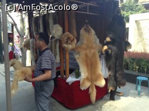 [P13] Bazarul de la ieșirea din parc » foto by Lila Mo
 - 
<span class="allrVoted glyphicon glyphicon-heart hidden" id="av941055"></span>
<a class="m-l-10 hidden" id="sv941055" onclick="voting_Foto_DelVot(,941055,20766)" role="button">șterge vot <span class="glyphicon glyphicon-remove"></span></a>
<a id="v9941055" class=" c-red"  onclick="voting_Foto_SetVot(941055)" role="button"><span class="glyphicon glyphicon-heart-empty"></span> <b>LIKE</b> = Votează poza</a> <img class="hidden"  id="f941055W9" src="/imagini/loader.gif" border="0" /><span class="AjErrMes hidden" id="e941055ErM"></span>