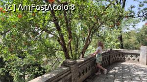 [P21]  -- <small>// FĂRĂ DESCRIERE</small> » foto by geani anto
 - 
<span class="allrVoted glyphicon glyphicon-heart hidden" id="av1502685"></span>
<a class="m-l-10 hidden" id="sv1502685" onclick="voting_Foto_DelVot(,1502685,20766)" role="button">șterge vot <span class="glyphicon glyphicon-remove"></span></a>
<a id="v91502685" class=" c-red"  onclick="voting_Foto_SetVot(1502685)" role="button"><span class="glyphicon glyphicon-heart-empty"></span> <b>LIKE</b> = Votează poza</a> <img class="hidden"  id="f1502685W9" src="/imagini/loader.gif" border="0" /><span class="AjErrMes hidden" id="e1502685ErM"></span>