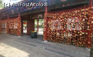 [P46]  -- <small>// FĂRĂ DESCRIERE</small> » foto by geani anto
 - 
<span class="allrVoted glyphicon glyphicon-heart hidden" id="av1502709"></span>
<a class="m-l-10 hidden" id="sv1502709" onclick="voting_Foto_DelVot(,1502709,20766)" role="button">șterge vot <span class="glyphicon glyphicon-remove"></span></a>
<a id="v91502709" class=" c-red"  onclick="voting_Foto_SetVot(1502709)" role="button"><span class="glyphicon glyphicon-heart-empty"></span> <b>LIKE</b> = Votează poza</a> <img class="hidden"  id="f1502709W9" src="/imagini/loader.gif" border="0" /><span class="AjErrMes hidden" id="e1502709ErM"></span>